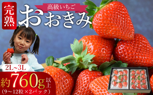 訳ありいちご 4kg（茨城県共通返礼品：石岡市産）※2024年12月
