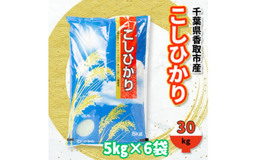 千葉県香取市産100%コシヒカリ30kg(5kg×6袋)【1579169】 1833854 - 千葉県香取市