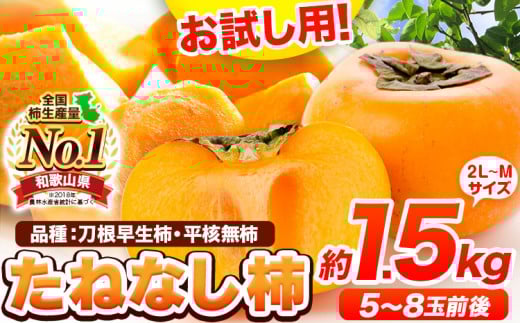 ＜先行予約＞柿 お試し用！ たねなし柿（刀根早生柿・平核無柿）約1.5kg（5～8玉前後） 《2025年9月中旬-11月上旬頃出荷》 和歌山県 紀の川市 種なし柿 産地直送 柿 果物 フルーツ 2L～Mサイズ カキ