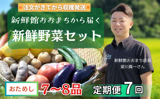 【定期便/7か月】注文が来てから収穫発送！収穫したばかりの新鮮野菜セットお試しコース 《7～8品》  季節のお野菜 おまかせ お楽しみ 獲れたて産地直送 旬 鍋 冬野菜 ベジタブル ヘルシー 健康 詰め合わせ 一関市 1839517 - 岩手県一関市