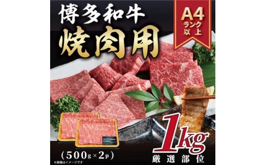 【A4～A5】博多和牛焼肉用（牛バラ又は肩ロース又はモモ）1ｋｇ（500ｇ×2ｐ） 1800647 - 福岡県福岡市