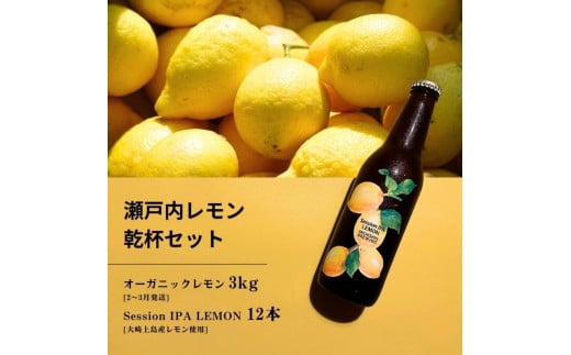 オーガニックレモン 3kg(2~3月発送) / 大崎上島のクラフトビール Session IPA Lemon 12本 オーガニック 有機レモン 有機JAS れもん クラフトビール 地ビール 爽快 ホップ 晩酌 国産 瀬戸内 広島 免疫力向上 健康 ビタミンC クエン酸 抗酸化 ソーダ 炭酸水 1807099 - 広島県大崎上島町