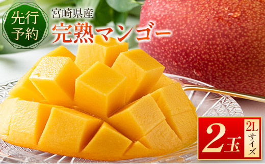 ＜先行予約＞宮崎県産 完熟マンゴー 2L×2玉 数量限定 人気 フルーツ 果物 ギフト【B510-26】