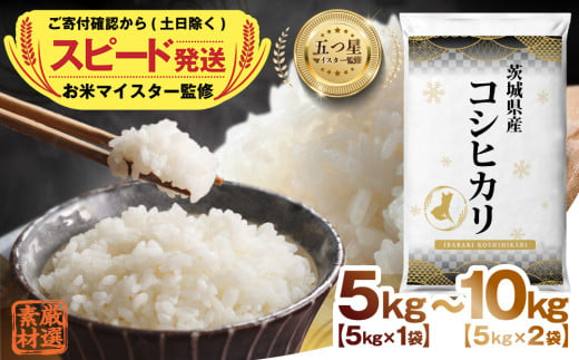 [ スピード配送 ] ＼ 選べる内容量 / [ 令和6年産 ] 茨城県産 コシヒカリ 5kg 10kg 五つ星 お米マイスター 監修 こしひかり 国産 こめ コメ 米 精米 すぐ発送 人気 美味しい ランキング ふるさと納税 返礼品