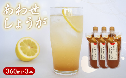 濃縮 生姜 シロップ パウチ 3パック セット 360ml 万能 調味料 生姜 自由自在 あわせしょうが ドレッシング 飲料 調理 ジュース KP008 1810459 - 高知県須崎市