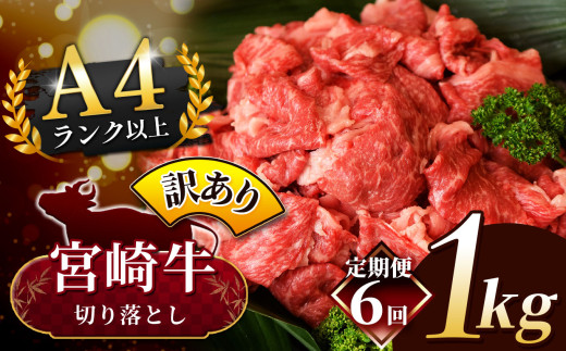 【定期便6回】人気 牛肉  ! A4 - A5 宮崎牛 切り落とし 訳あり 1kg | 小分け 500g × 2 宮崎牛 切り落とし 部位不問 脂身 黒毛和牛 牛肉 肉 にく お肉 スライス 切り落とし 国産 ブランド牛 カレー 牛丼 切り落とし 野菜炒め  宮崎県 五ヶ瀬町 切り落とし 切り落とし 1775721 - 宮崎県五ヶ瀬町