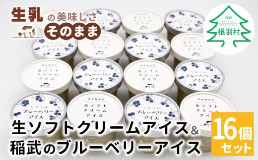 厳選された素材でつくった★生ソフトクリーム＆いなぶのブルーベリーアイス (80ml)×16個セット 10000円 1477255 - 長野県根羽村