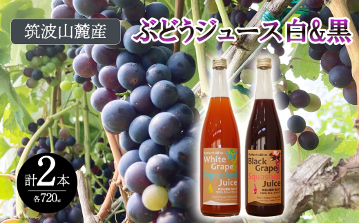 つくば市 筑波山麓産ぶどうジュース２本セット　ビーズニーズヴィンヤーズ／Bee's Knees Vineyards【 ジュース ストレート 100％ ぶどう ブドウ 白ぶどう 黒ぶどう ワイン専用ブドウ品種 果物 フルーツ 国産 つくば市産 茨城県産 飲み物 飲料 セット 子供 おやつ 人気 おすすめ 茨城県 つくば市 】 1856794 - 茨城県つくば市