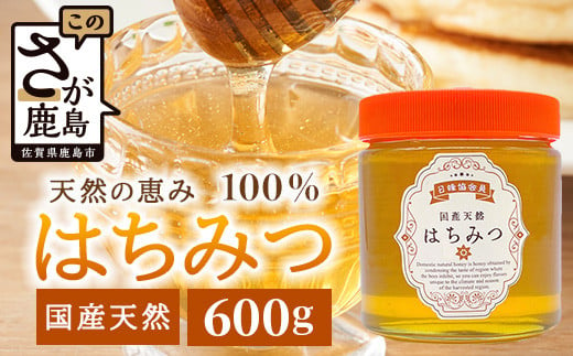 鹿島市産 天然の恵み 100% はちみつ 600g 化粧箱入 B-806 ハチミツ 蜂蜜 ハニー 天然はちみつ 天然蜂蜜 国産 1810435 - 佐賀県鹿島市