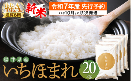 【新米・先行予約】令和7年産 お米 いちほまれ 20kg 特A通算6回！福井県産【米 コメ kome 20キロ 精米 白米】【令和7年10月より順次発送予定】 [e27-d006_10]