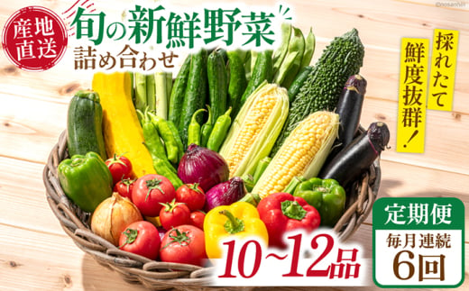 【6回定期便】毎月連続 新鮮 「旬の野菜・フルーツ」 詰め合わせ セット（10品〜12品）/ 野菜 定期便 やさい 定期便 野菜セット やさいセット 春野菜 夏野菜 秋野菜 冬野菜 旬新鮮 / 南島原市 /長崎県農産品流通合同会社 [SCB095] 1803994 - 長崎県南島原市