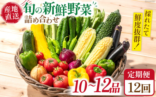 【12回定期便】野菜定期便 毎月連続お届け 新鮮 「旬の野菜・フルーツ」 詰め合わせ セット（10品〜12品）/ 野菜定期便 やさい定期便 野菜セット やさいセット 春野菜 夏野菜 秋野菜 冬野菜 旬 新鮮 / 南島原市 /長崎県農産品流通合同会社 [SCB097] 1803996 - 長崎県南島原市