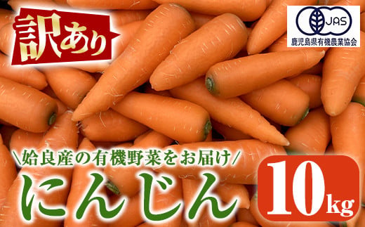 a992 《訳あり》《期間限定！2024年12月上旬～2025年3月上旬の間に発送予定》有機人参 (10kg)【今村農園】姶良市 国産 有機栽培 有機 野菜 やさい にんじん ニンジン 訳アリ 1800619 - 鹿児島県姶良市