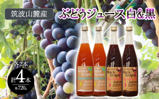 つくば市 筑波山麓産ぶどうジュース４本セット　ビーズニーズヴィンヤーズ／Bee's Knees Vineyards【 ジュース ストレート 100％ ぶどう ブドウ 白ぶどう 黒ぶどう ワイン専用ブドウ品種 果物 フルーツ 国産 つくば市産 茨城県産 飲み物 飲料 セット おやつ 子供 人気 おすすめ 茨城県 つくば市 】 1856795 - 茨城県つくば市