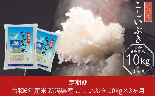 [定期便10kg×3ヶ月] 新潟県産 こしいぶき 10kg [2025年1月から発送予定] 令和6年産米 3か月（3ヵ月）連続でお届け【034S002】 868266 - 新潟県三条市