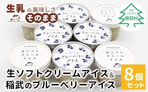 素材にとことんこだわったアイスセット！生ソフトクリーム＆いなぶのブルーベリーアイス (80ml)×8個セット 5000円 1477254 - 長野県根羽村