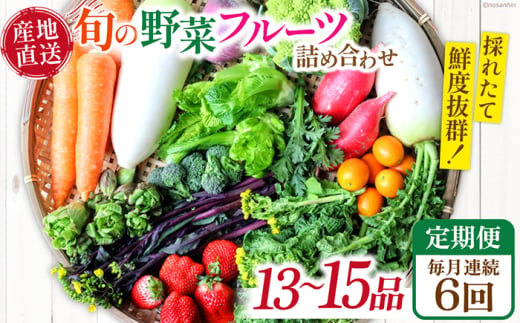 【6回定期便】毎月連続　「旬の野菜・フルーツ」 詰め合わせ セット（13品〜15品）/ 野菜 定期便 やさい 定期便 野菜セット やさいセット 春野菜 夏野菜 秋野菜 冬野菜 旬新鮮 / 南島原市 /長崎県農産品流通合同会社 [SCB091] 1803990 - 長崎県南島原市