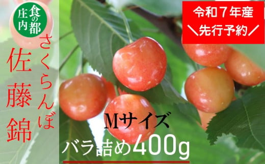 ★先行予約★食の都庄内　【令和7年産】庄内産さくらんぼ「佐藤錦」Mサイズ400gバラ詰め※令和7年6月中旬～下旬頃発送予定 1981620 - 山形県三川町