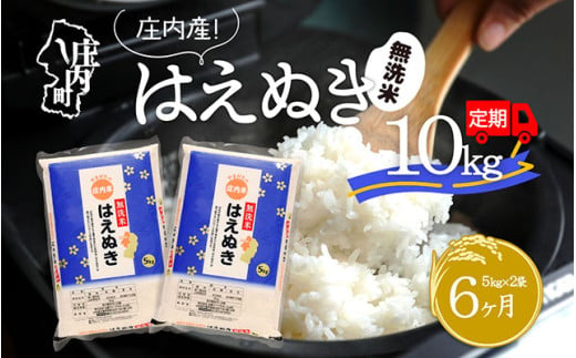 ＜2月中旬発送＞庄内米6か月定期便！はえぬき無洗米10kg（入金期限：2025.1.25）