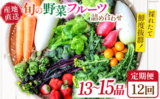 【12回定期便】野菜定期便「旬の野菜・フルーツ」 詰め合わせ セット（13品〜15品）/ 野菜定期便 やさい定期便 野菜セット やさいセット 春野菜 夏野菜 秋野菜 冬野菜 旬 新鮮 / 南島原市 / 長崎県農産品流通合同会社 [SCB093] 1803992 - 長崎県南島原市