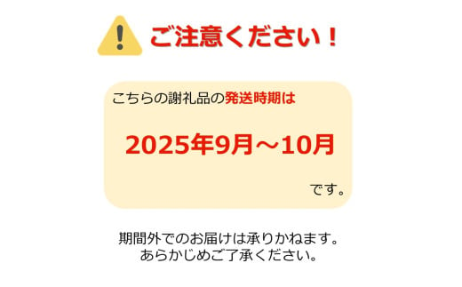 山形県長井市のふるさと納税 【2025年9月～10月発送分先行受付】山形のぶどう(シャインマスカット)約2kg（2～5房）_H063(R7)