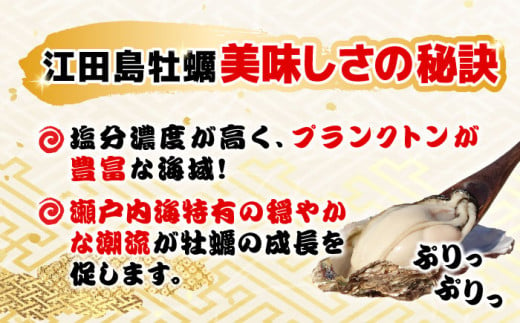 広島牡蠣 冷凍 カキフライ 80個（20個×4袋）（瞬間冷凍）