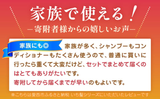 愛知県愛西市のふるさと納税 いち髪 濃密W保湿ケア シャンプー＆コンディショナー 詰替用 各5袋セット  Kracie クラシエ シャンプー 愛西市 / クラシエホームプロダクツ [AEBE002] シャンプー 一人暮らし 生活用品