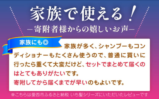 愛知県愛西市のふるさと納税 いち髪 なめらかスムースケア シャンプー＆コンディショナー 詰替用 各5袋セット Kracie クラシエ シャンプー 愛西市 / クラシエホームプロダクツ [AEBE003] シャンプー 一人暮らし 生活用品