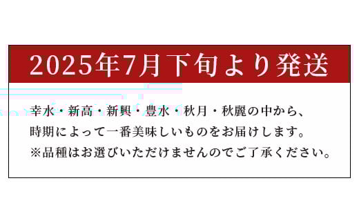 画像はイメージです