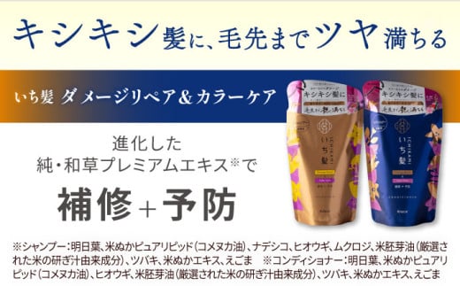 愛知県愛西市のふるさと納税 いち髪　ダメージリペア＆カラーケア　シャンプー＆コンディショナー　詰替え用　各５袋セット　　Kracie　クラシエ　シャンプー　日用品　愛西市/クラシエホームプロダクツ [AEBE004]