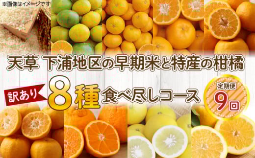 S040-T01_【定期便9回】天草 下浦地区の早期米と特産の柑橘8種食べ尽しコース(訳あり)【先行受付】 334169 - 熊本県天草市