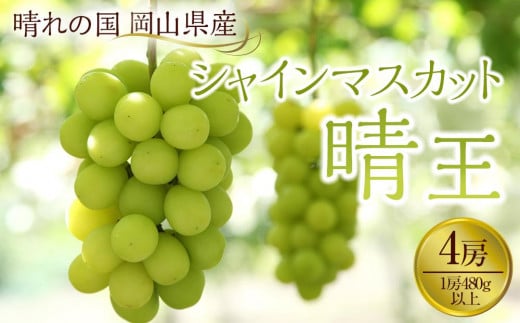 ぶどう 2025年先行予約 岡山県産 シャインマスカット『晴王』4房(1房480g以上)