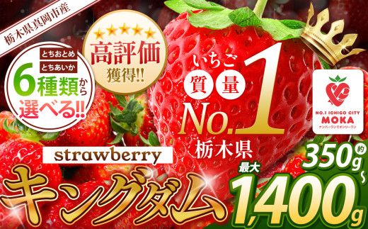 旬に発送♪ 人気超上昇!! 選べる いちご 6種類 350g 〜 1400g以上 | 苺 キングダム 日本一 不揃い 家庭用 大粒 秀品 とちおとめ とちあいか 食べ比べ 数量 限定 ストロベリー 人気 果物 フルーツ 限定品種 送料無料 サイズ 小分け 真岡市 栃木県 | 寄附 7千円 8千円 1万円 寄附額 7000円 8000円 10000円