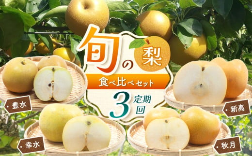 【2025年先行予約】【定期便3回】幸水3kg 豊水3kg 秋月3kg 新高5kg 旬の梨食べ比べセット | 梨 なし フルーツ 鮮度 品種 果汁 多い 酸味 さっぱり 味わい 旬 採れたて 食感 直送 甘い ジューシー 冷やして 美味しい 水分補給 すりおろし 特産品 栃木県 真岡市 送料無料 1817110 - 栃木県真岡市