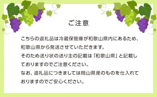 岡山県岡山市のふるさと納税 ぶどう［2025年先行予約］晴王 シャインマスカット 2房～3房（1.5kg以上）岡山県産