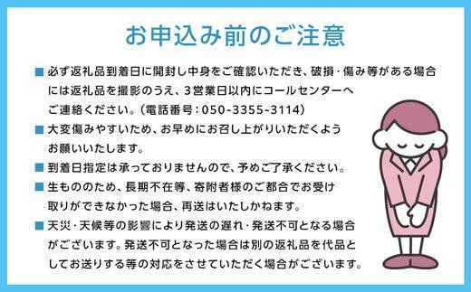 岡山県岡山市のふるさと納税 ぶどう［2025年先行予約］晴王 シャインマスカット 2房～3房（1.5kg以上）岡山県産