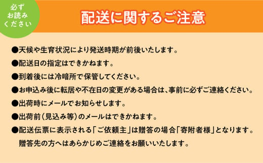 山梨県南アルプス市のふるさと納税 ＜2025年発送分先行予約＞厳選！南アルプス市産　『フルーツ定期２回便』 ALPDD006　| フルーツ定期便 フルーツ 果物 もも  シャインマスカット 桃 ぶどう 人気 ランキング  山梨県 山梨県産 南アルプス |