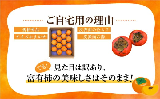 岐阜県本巣市のふるさと納税 【先行予約／令和7年産】《 訳あり 》 富有柿 ご家庭用 3kg M,L,2Lサイズ 福井農園 [11月～12月に発送予定]  ｜富有柿 ふゆうがき かき フルーツ 柿 かき 規格外 わけあり 不揃い ふぞろい ご自宅用 果物 くだもの フルーツ 本巣市