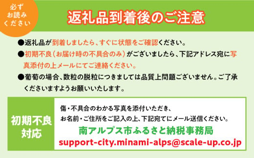 山梨県南アルプス市のふるさと納税 ＜2025年発送分先行予約＞厳選！南アルプス市産　『フルーツ定期２回便』 ALPDD006　| フルーツ定期便 フルーツ 果物 もも  シャインマスカット 桃 ぶどう 人気 ランキング  山梨県 山梨県産 南アルプス |