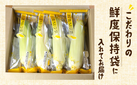 鮮度保持袋に入れてお届けします。