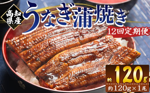 国産 うなぎ 定期便 100g～120g １尾 12回 蒲焼き 高知県産 養殖 魚介 国産 海鮮 魚 かばやき 鰻 ウナギ 惣菜 おかず お手軽 加工品 加工食品 冷凍 Wfb-0036 1818004 - 高知県香南市