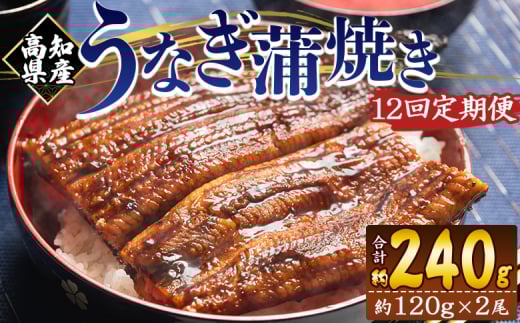 国産 うなぎ 定期便 100g～120g 2尾 12回 蒲焼き 高知県産 養殖 魚介 国産 海鮮 魚 かばやき 鰻 ウナギ 惣菜 おかず お手軽 加工品 加工食品 冷凍 Wfb-0040 1818008 - 高知県香南市