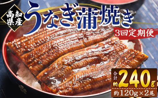 国産 うなぎ 定期便 100g～120g 2尾 3回 蒲焼き 高知県産 養殖 魚介 国産 海鮮 魚 かばやき 鰻 ウナギ 惣菜 おかず お手軽 加工品 加工食品 冷凍 Wfb-0038 1818006 - 高知県香南市