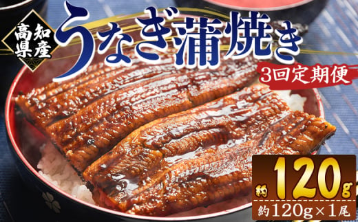 国産 うなぎ 定期便 100g～120g １尾 3回 蒲焼き 高知県産 養殖 魚介 国産 海鮮 魚 かばやき 鰻 ウナギ 惣菜 おかず お手軽 加工品 加工食品 冷凍 Wfb-0034 1818002 - 高知県香南市