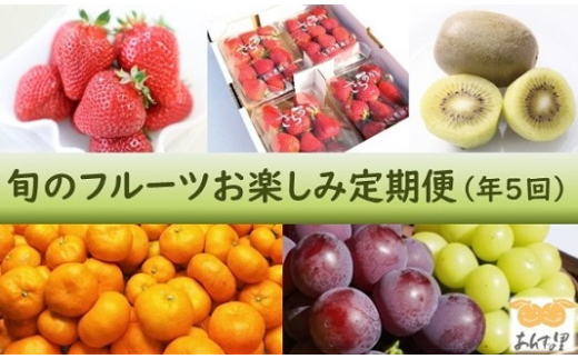 【年5回】旬のフルーツ定期便★あんずの里【随時開始】[G7032]