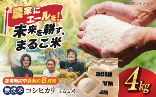 滋賀県西浅井町産コシヒカリ「まるこ米」4kg（2kg×2）無洗米 滋賀県長浜市/ONE SLASH 株式会社[AQCZ036]  米 お米 白米 無洗米 こしひかり 4kg 地域 応援 1837012 - 滋賀県長浜市