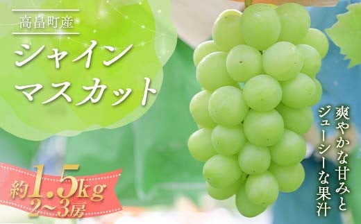 《2025年先行予約》山形県 高畠町産 シャインマスカット 約1.5kg(2~3房) 2025年9月下旬から順次発送 ぶどう ブドウ 葡萄 マスカット 大粒 種なし 高級 くだもの 果物 フルーツ 秋果実 産地直送 農家直送 数量限定 贈答 ギフト F21B-363 1840468 - 山形県高畠町