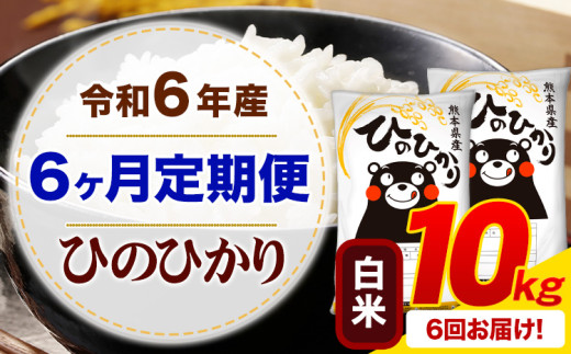【6ヶ月定期便】令和6年産 白米 ひのひかり 定期便 10kg《お申込み月の翌月から出荷開始》令和6年産 熊本県産 ふるさと納税 精米 ひの 米 こめ ふるさとのうぜい ヒノヒカリ コメ お米
