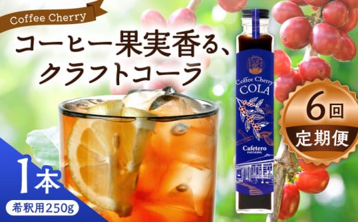 [全6回定期便]カフェテーロ葉山 コーヒーチェリーコーラ 250g×1本 / コーラ エナジードリンク 酸味 コーヒー 神奈川県 葉山町 クラフトコーラ 天然 ドリンク 炭酸[合同会社エンディレクト] [ASBM008]