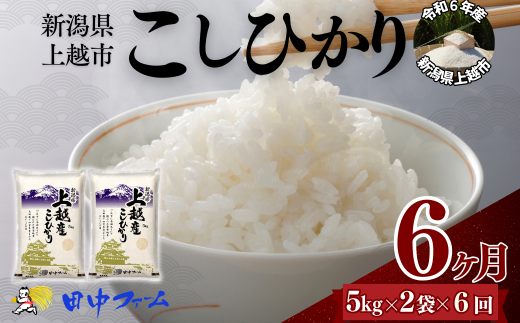 上越市産 新潟 コシヒカリ　5kg×2 6か月定期便  上越市 精米 米 コメ こしひかり ブランド米 1837794 - 新潟県上越市